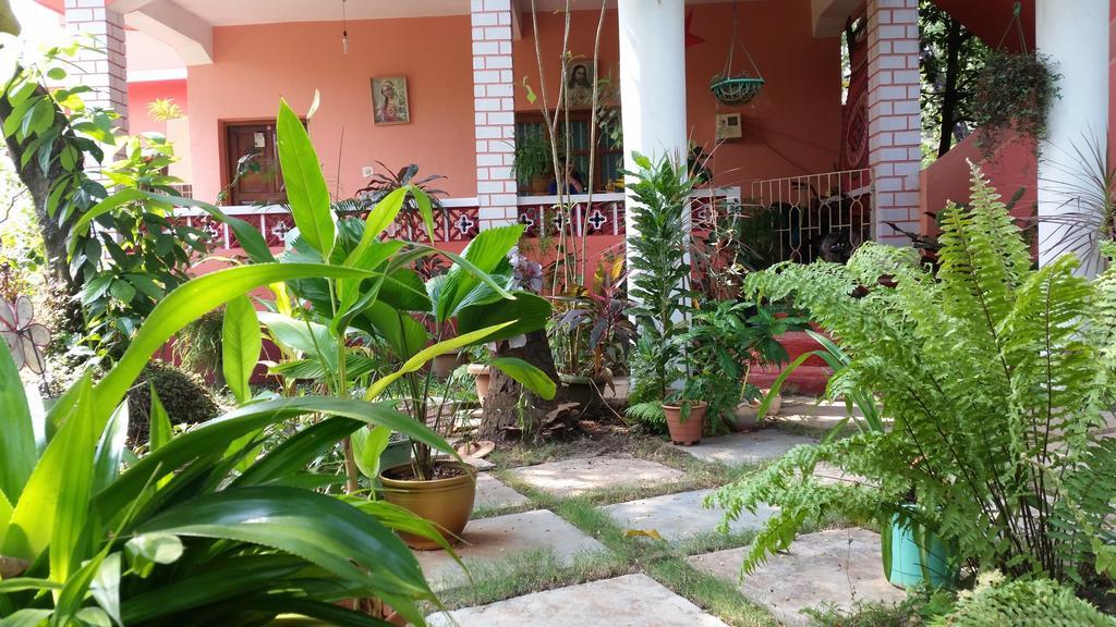 Cozy Dream Apartment Anjuna Room photo